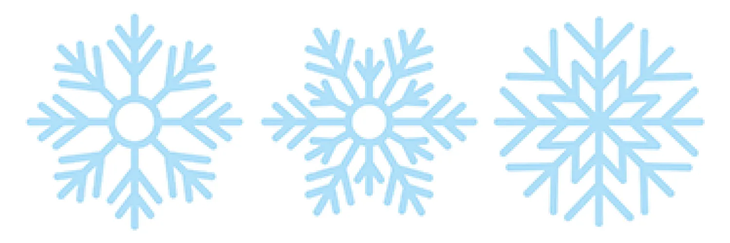 3 snowflakes
